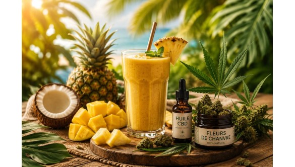 Smoothie au CBD : recette tropicale facile et rafraîchissante